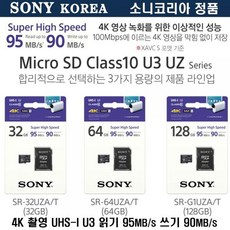 sd메모리백업
