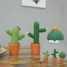 양모펠트선인장