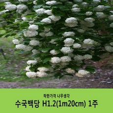 4c9e07705e828ad6f9946480b90062947b0e792e1776b5b2c482436b47c5.JPG