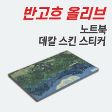 갤럭시북스킨