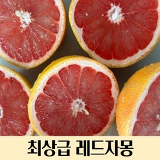 [항공직송] 최상급 직수입 레드자몽 대과 5과 10과 15과 30과 자몽 레드자몽 이스라엘레드자몽 직수입자몽 레드 자몽 자몽주스 자몽에이드 카페용 업소용, 5과(대과), 1개