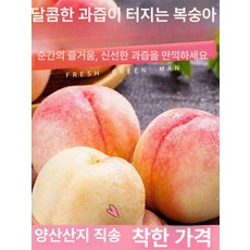 과일 포장망 과일캡 충격흡수 충격방지 3근 메쉬, 선택형-단과일 4.5-5 두, 1개, 12개