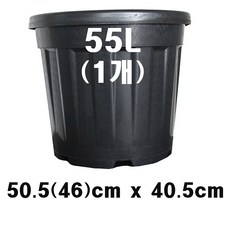 한국식물 대형노지화분 55L(1p)