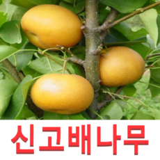 f742d726633afb9976a022944cbf848f4bb14e05aea64472449b4d281f15.png
