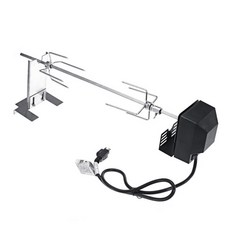 부르스타점화침