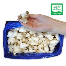 [무농약] 깔끔하게 손질된 새송이버섯 1kg 2kg, 1박스, 솎음버섯 4kg (2kgx2) (볶음용)