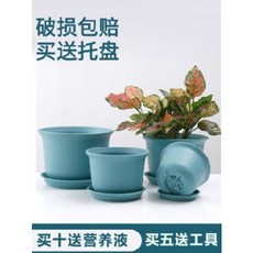 수경화분 비닐화분 큰 사이즈 수배 그린라 전용 베란다 다육식물 분란 화분 청소 특, 01 베이지 스몰, 01 크다
