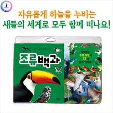 조류그림책