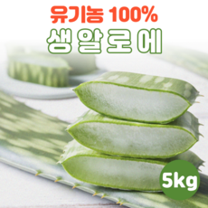 생봄알로에