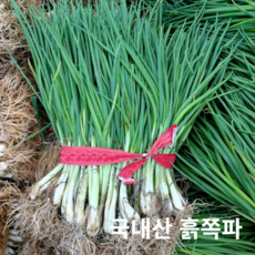 국내산 보성 신선한 흙쪽파 1단 2단 3단, 2개, 1kg