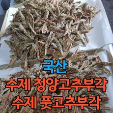 속초소주