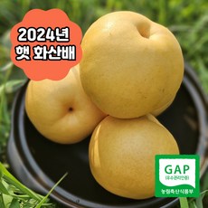 [경남 하동] 국내산 명절 선물용 배 나주 프리미엄 햇배 원황배 황금배 신화배 신고배 화산배 추황배, 1박스, 추황배 7.5kg(미니 17~20과)