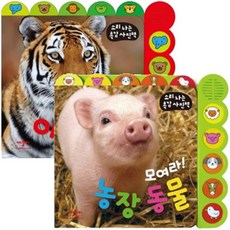 동물소리그림책