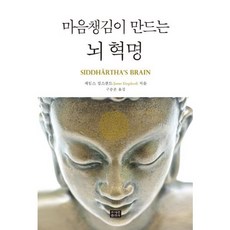 마음챙김이 만드는 뇌 혁명