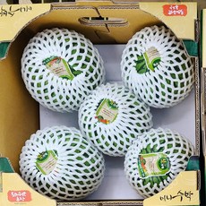 창원 애플수박(미니수박)