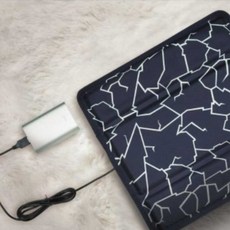 보나크전기방석