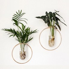 벽걸이수경재배