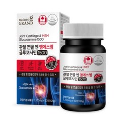 네이처그랜드 관절 연골 엔 엠에스엠 글루코사민1500 2100mg x 60정, 1세트, 120정