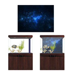 어항백스크린 PVC 접착 수족관 어항 배경 터 종이 61x41cm, 1개