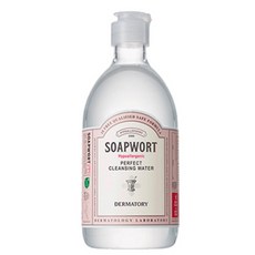 클럽클리오 더마토리 하이포알러네직 퍼펙트 클렌징 워터, 1개, 500ml