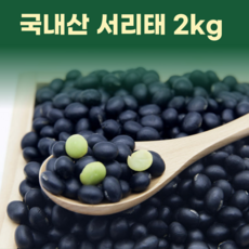 [국내산] 2024년 햇곡 국산 서리태 RSF1218 국산서리태 토실토실 영양만점, 1개, 2kg