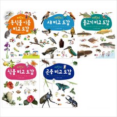 어린이 비교도감 세트(전5권)(양장):동식물/새/식물/곤충/물고기 비교도감