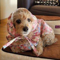 꽃프릴레이스보넷