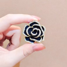 진주브로찌