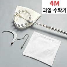 매실따기
