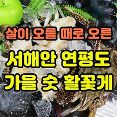 활꽃게1kg