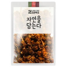 조은약초 자연을 담는다 프리미엄 복분자 200g 1개입 1개, 1개