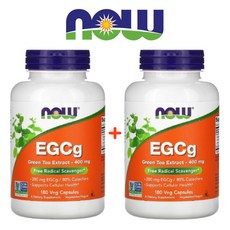 카멜리아시넨시스