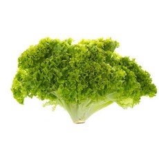 d8f775e6da29722077592ab188c9def4e92e13bf8d0c9f5d981110220e18.jpg
