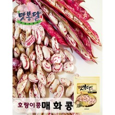 호랑이강낭콩