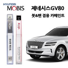 현대 모비스 제네시스 GV80 카페인트 자동차 붓펜 N5M PH3 RY5 SSS URA UYH