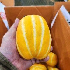가정용흠집 성주 참외 중대과 (6-11과) 3kg 기본포장