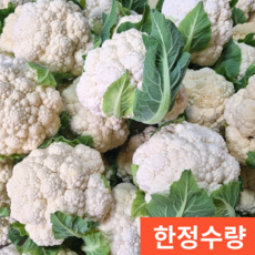 [제주농장직송] 콜리플라워 햇콜리플라워 컬리플라워, 1박스, 3kg 내외