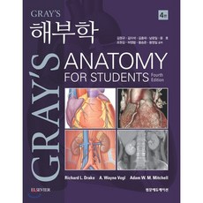 gray's해부학