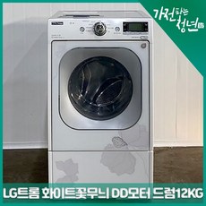 엘지드럼세탁기12kg