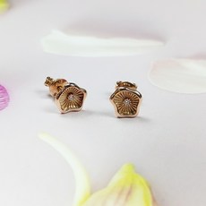 알리시아18k