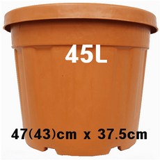 6855a76056c852af8b1eef38c774a459baab2e65a5dc789520ca8c32d334.jpg