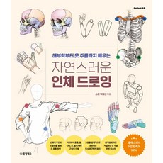 (소은 박경선 동양북스) 자연스러운 인체 드로잉, 분철안함