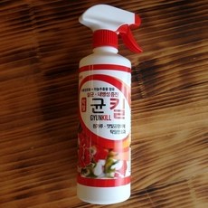 곰팡이균제거젯소