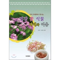 김영아