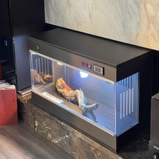 육지거북 은신처 인큐베이터 케이지 부화기 조절기를 플랫폼 거북이 도마 사육장 반수생, 1개