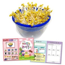 콩나물키우기관찰