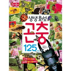 생생화보 곤충 125가지:신기한 우리 곤충부터 화려한 열대 곤충까지, 글송이