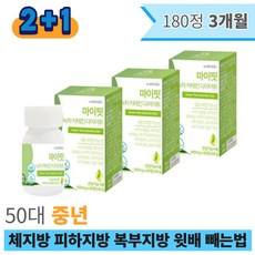 50대 중년 체지방 피하지방 복부지방 윗배 빼는법 30대 40대 10 KG 키로 감량 녹차 카테킨 건강기능식품 남자 여자 여성 60대 장년 체지방 줄이는법 건강한 다이어트 보조제