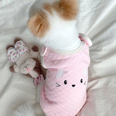 몽클레어강아지