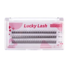 엘스몰럭키래쉬